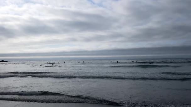 Неупізнавана Група Серфінгістів Чекає Коли Найліпше Натрапить Захід Сонця Узбережжі — стокове відео