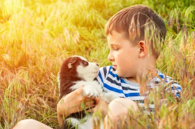 En sevdiği dört bacaklı arkadaşıyla birlikte olan çocuk. Yavru köpek bir çocuğun elinde. Sevimli bir çocuk, iri yarı bir köpeğe sarılıyor..