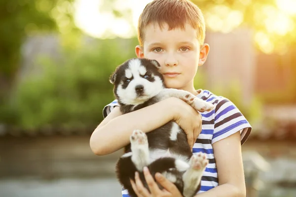 Ragazzo Con Suo Amico Quattro Zampe Preferito Cucciolo Nelle Mani — Foto Stock