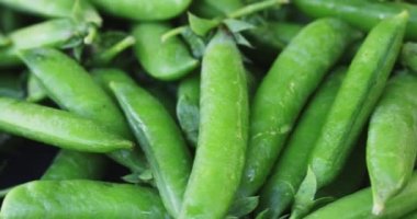 Taze bezelye kabukları rotasyonunu kapatın. Bezelye arka planı. Döngü hareketi