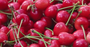 Taze sulu kırmızı kiraz çileği dönüşümlü. Taze toplanmış kirazlar. Sağlıklı vejetaryen yemekleri.