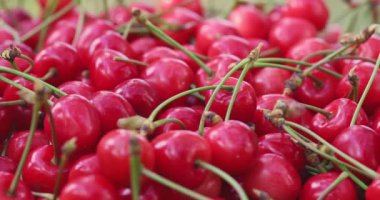 Taze sulu kırmızı kiraz çileği dönüşümlü. Taze toplanmış kirazlar. Sağlıklı vejetaryen yemekleri.