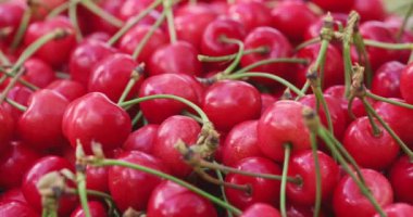 Taze sulu kırmızı kiraz çileği dönüşümlü. Taze toplanmış kirazlar. Sağlıklı vejetaryen yemekleri.