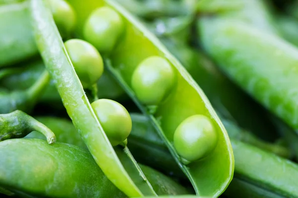 Green Peas Close Green Fresh Peas Pea Pods Healthy Vegetarian — Stock Photo, Image