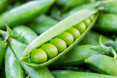 .Yeşil bezelyeler. Taze bezelye ve bezelye kabuklarını kapatın. Doğal protein açısından zengin sağlıklı vejetaryen yemekleri..