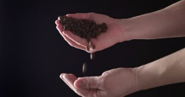 Yaklaş, kavrulmuş kahve çekirdekleri insanın elinden koyu arkaplana dökülüyor. Kızarmış kahve çekirdeği.