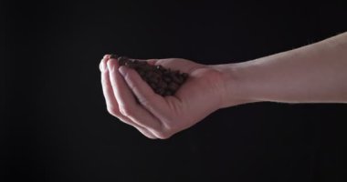 Yaklaş, kavrulmuş kahve çekirdekleri insanın elinden koyu arkaplana dökülüyor. Kızarmış kahve çekirdeği.