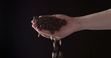 Yaklaş, kavrulmuş kahve çekirdekleri insanın elinden koyu arkaplana dökülüyor. Kızarmış kahve çekirdeği.