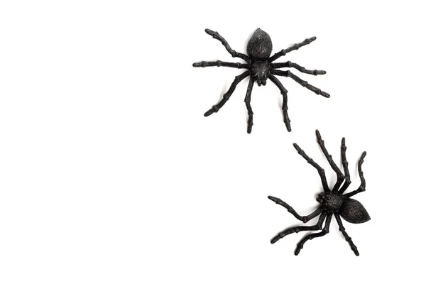 Two Black Rubber Spider Toys Isolated White Background Copy Space — Stock fotografie