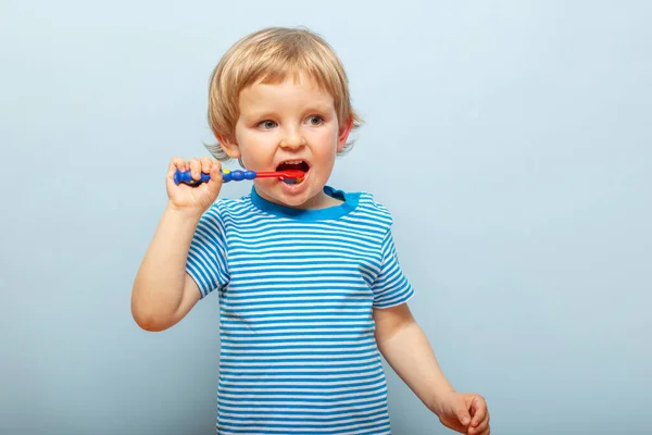 Little Blonde Boy Brushing Teeth Toothbrush Blue Background Dental Hygiene Stock Photo