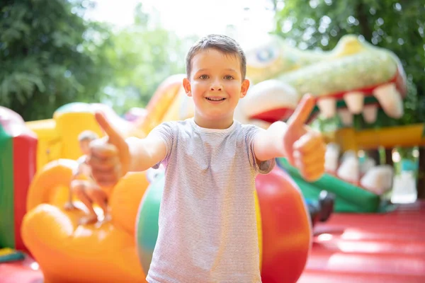 Rapaz Feliz Divertir Muito Num Castelo Colorido Parque Infantil Colorido — Fotografia de Stock