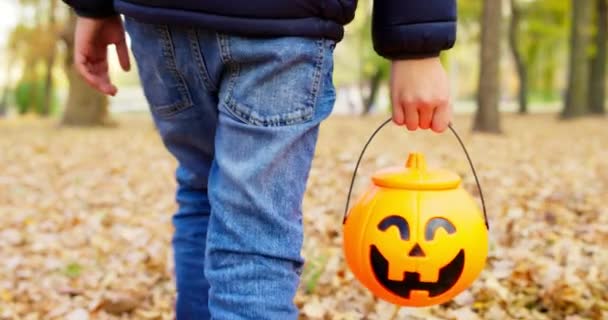 Boy Plastic Pumpkin Lantern Sweets Walks Autumn Park — Vídeo de stock
