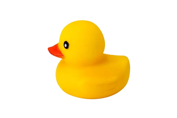 Yellow rubber duck isolated on white background. yellow rubber duck.