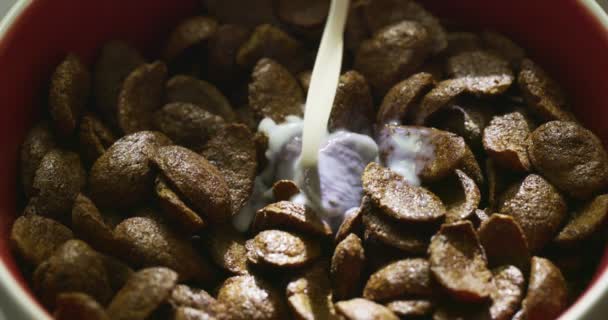 在巧克力麦片上倒入鲜牛奶的做法很接近了 健康早餐的概念 高质量的4K镜头 — 图库视频影像