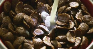 Çikolatalı gevreğin üzerine taze süt dökülüyor. Sağlıklı kahvaltı konsepti. Yüksek kalite 4k görüntü