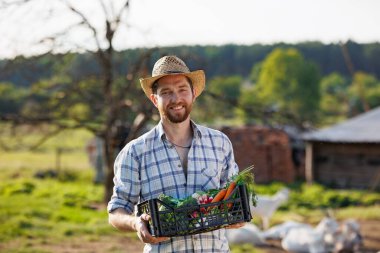 Beyaz, yakışıklı, sakallı erkek çiftçi elinde sepetle taze organik sebzeler tutuyor. Vejetaryen, çiğ ve sağlıklı yemekler. Sağlıklı bir yaşam tarzı. Ekolojik tarım ve tarım sektörü