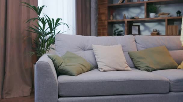 Tired Curly Girl Falls While Sitting Couch Feeling Apathy Feeling — Stockvideo