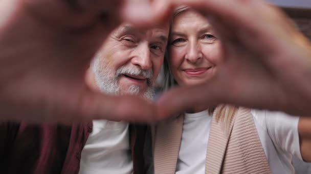 一对年轻貌美 头发灰白的老夫妇的爱心和真挚感情的展现 幸福的退休人员的近照 显示出他们的心是多年快乐生活的标志 — 图库视频影像