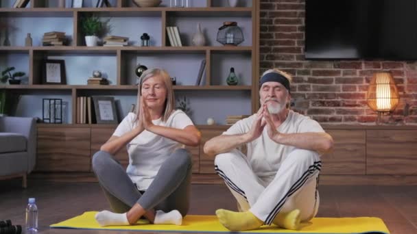 Pareja Madura Feliz Pelo Gris Haciendo Gimnasia Yoga Juntos Casa — Vídeos de Stock