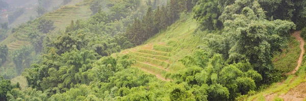 НЕБЕЗПЕКА: тераси рисових терас у тумані в Сапі (В "єтнам). Рисові поля готують урожай у північно-західному В'єтнамі. В'єтнам відкривається для туризму після карантину Короновірус COVID 19 — стокове фото