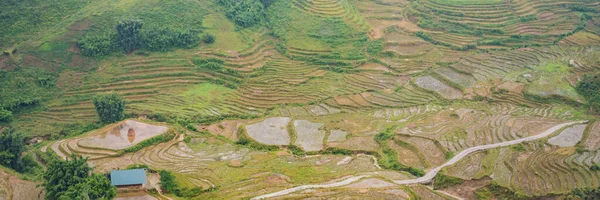 BANNER, LONG FORMAT Reisterrassen im Nebel in Sapa, Vietnam. Reisfelder bereiten die Ernte im Nordwesten Vietnams vor. Vietnam öffnet sich für den Tourismus nach Quarantäne Coronovirus COVID 19 — Stockfoto