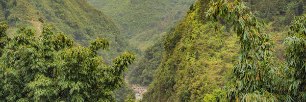 Landscape of Sapa in the fog, Northwest Vietnam. Vietnam opens to tourism after quarantine Coronovirus COVID 19 BANNER, LONG FORMAT