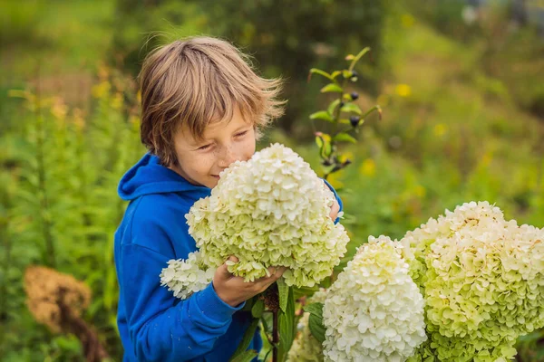 Çocuk bahçede pembe çiçeklerin tadını çıkarıyor. — Stok fotoğraf
