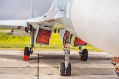 Rus birlikleri uçakla geldi. Rusya askeri teçhizatı