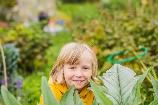 Chicos en el huerto. Educación en el hogar, educación natural de los niños, falta de escolaridad — Foto de Stock