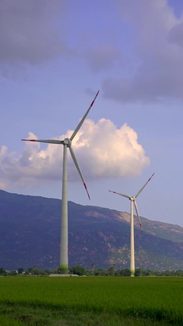 Vídeo vertical. Um tiro à mão. Duas turbinas eólicas num campo verde. Investimentos em energia verde. Conceito de electricidade verde — Vídeo de Stock