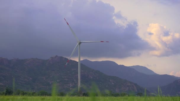 Handheld shot. A wind power turbine on a green field. Investments in green energy. Green electricity concept — Stock Video