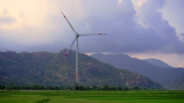 Colpo in mano. Una turbina eolica su un campo verde. Investimenti in energia verde. Concetto di elettricità verde — Video Stock
