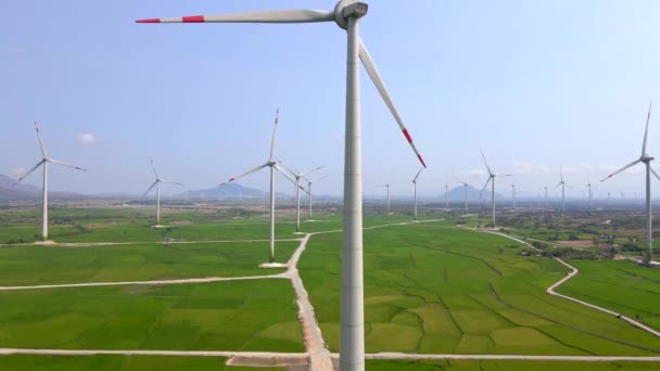 Luchtfoto 's. Een groot groen bestand met veel windenergie centrales. Investeringen in groene energie. Concept groene elektriciteit — Stockvideo