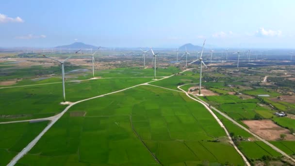 Luchtfoto 's. Een groot groen bestand met veel windenergie centrales. Investeringen in groene energie. Concept groene elektriciteit — Stockvideo