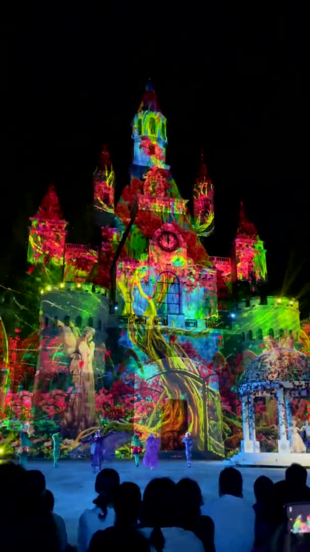 Nha Trang, Wietnam - 02.05.2021: pokaz Tata w parku rozrywki Vinwonders. Kolorowe rozrywki z projekcjami świetlnymi. Pionowe wideo — Wideo stockowe