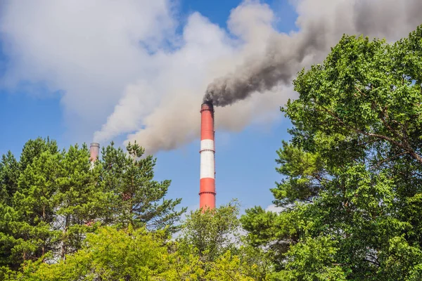 Plant pijp met rook tegen blauwe hemel — Stockfoto