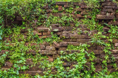 Oğlum, Vietnam 'daki tapınak harabesi. Vietnam, Coronovirus COVID 19 karantinasından sonra turistlere tekrar açıldı