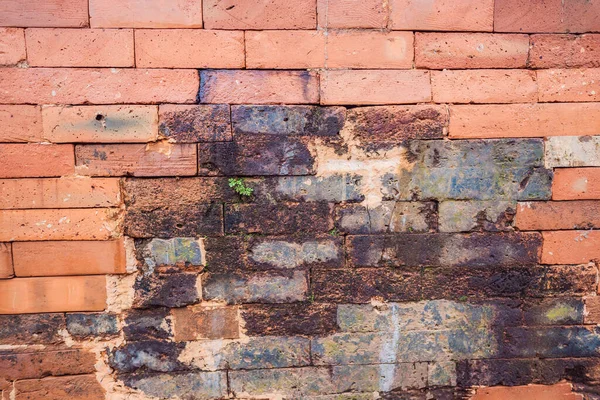 Класична текстура старої цегляної стіни. дуже стара стіна з рослинами — стокове фото