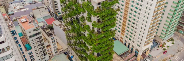 BANNER, BANNON BÜYÜK Eko Mimari. Ön cephesinde hidrofonik bitkiler olan yeşil bir kafe. Ekoloji ve yeşil yaşam şehirde, kentsel çevre kavramı. Modern bina yeşil santrali kapsıyor — Stok fotoğraf