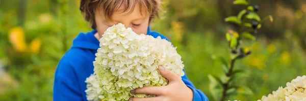 Băiat care se bucură de flori roz în grădină BANNER, FORMAT LONG — Fotografie, imagine de stoc