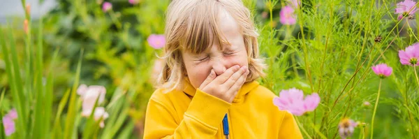 Băieţelul îşi suflă nasul pe o pajişte verde lângă flori. Conceptul de alergie la flori BANNER, FORMAT LONG — Fotografie, imagine de stoc