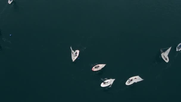 Luftaufnahme. Slow Motion Video von Segelbooten auf einer Regatta — Stockvideo