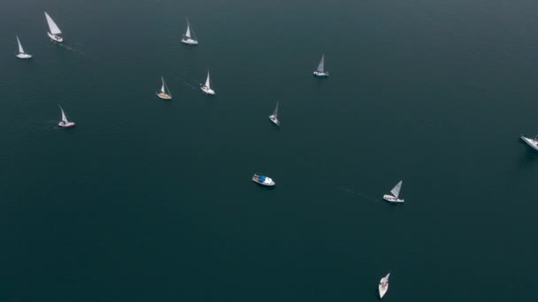 Vue aérienne. Slow Motion vidéo de voiliers sur une course — Video
