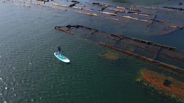 Aerial shot. Young women is having fun. Stand Up Paddling in the sea. SUP. Paddling among debrees of a sunk metal ships — Stock Video
