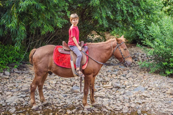 Garçon monte un cheval dans la forêt — Photo