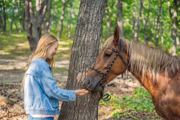 Hermosas mujeres dan zanahoria a su caballo — Foto de Stock