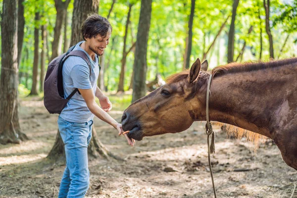 Молодой человек скармливает маленький кусочек моркови коричневой лошади — стоковое фото