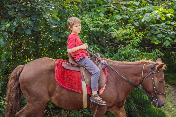 Garçon monte un cheval dans la forêt — Photo