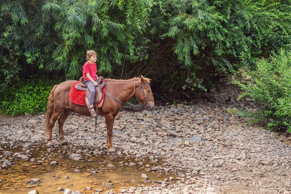 Garçon monte un cheval dans la forêt — Photo