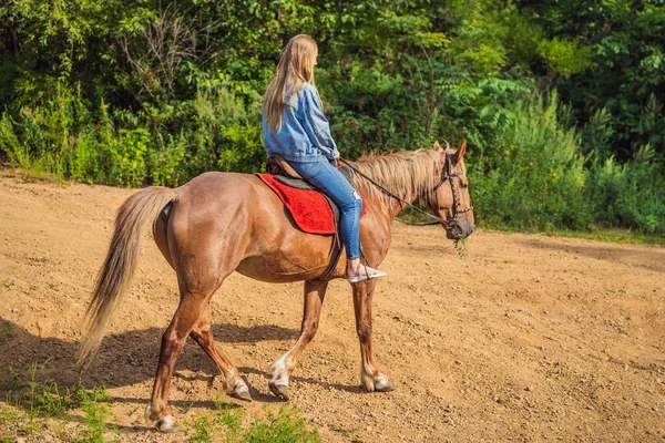 Mulher bonita montando um cavalo no campo — Fotografia de Stock